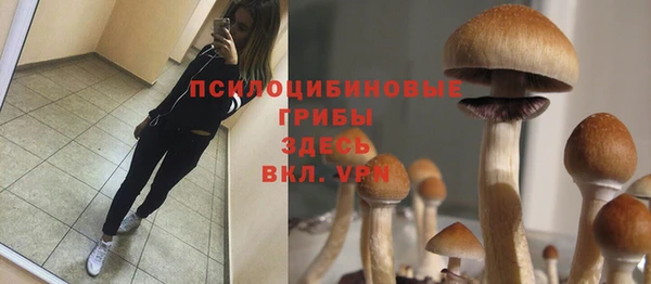 трава Богданович