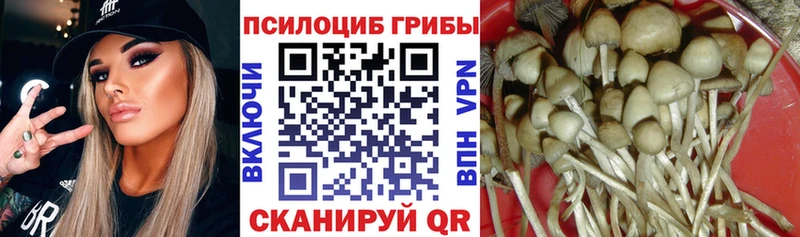 Галлюциногенные грибы мухоморы  блэк спрут ссылки  Котельнич 